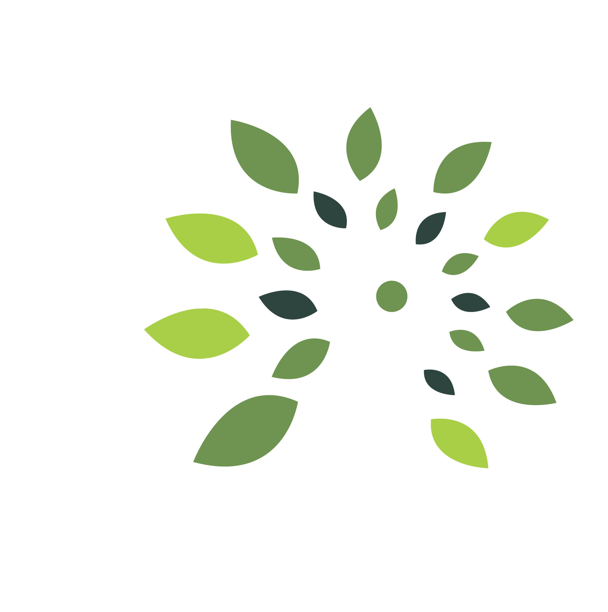 SCC Services (Pty) Ltd